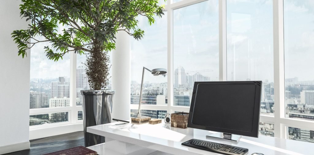 Natural Light in Work Place